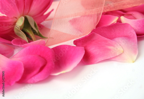 petals and lace