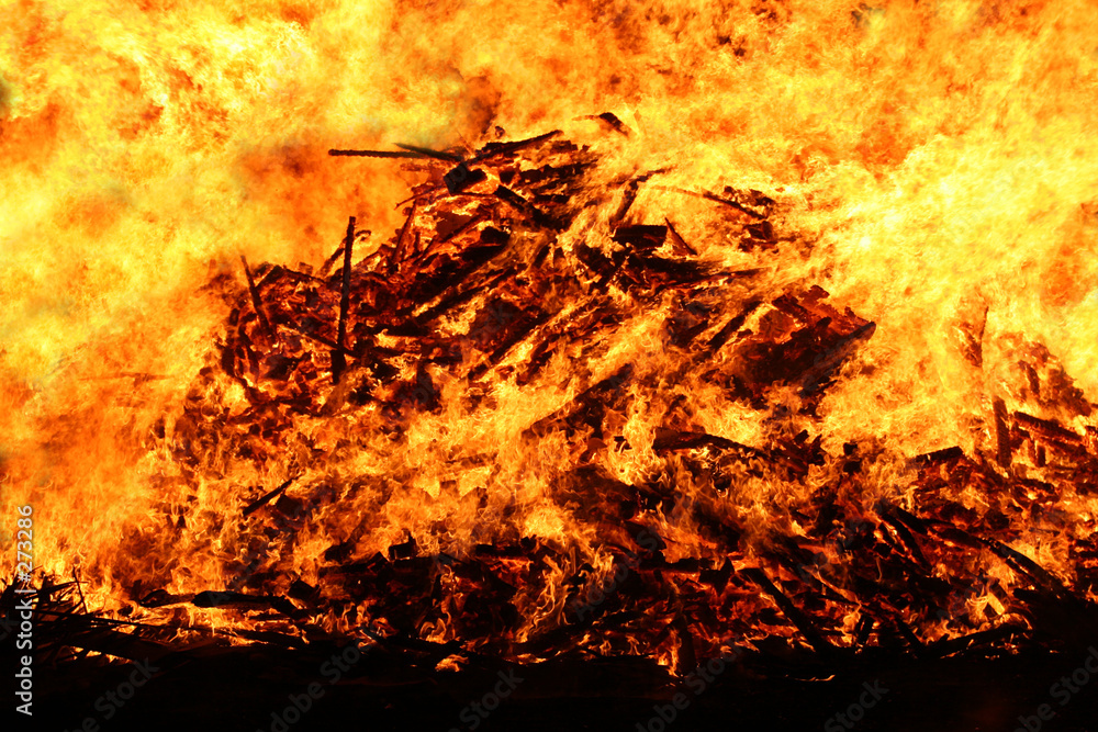 Obraz na plátně bonfire