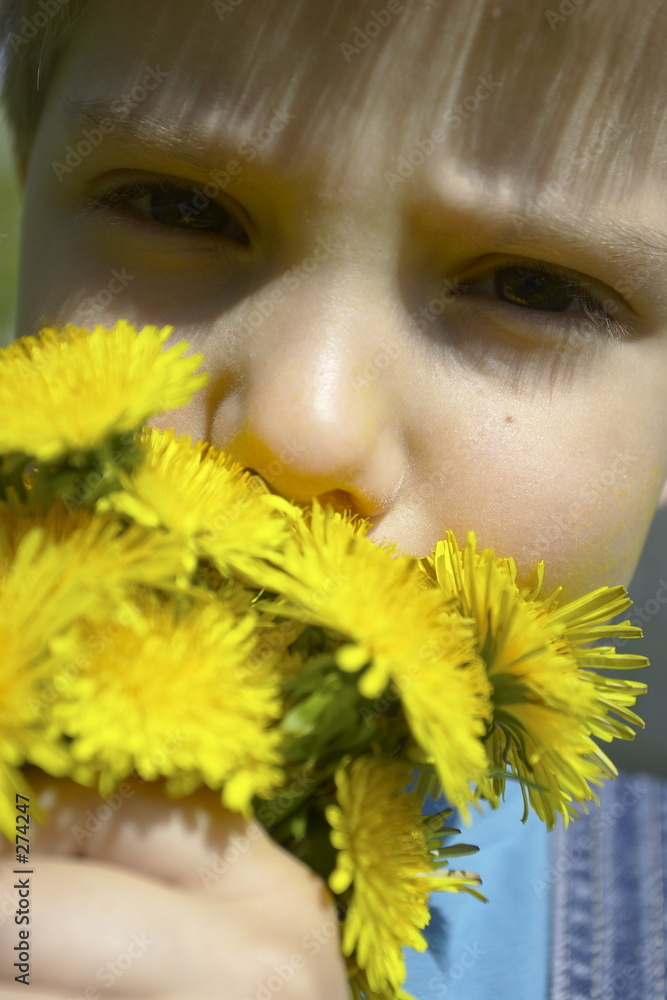 boy with dandelion boy with dandelion