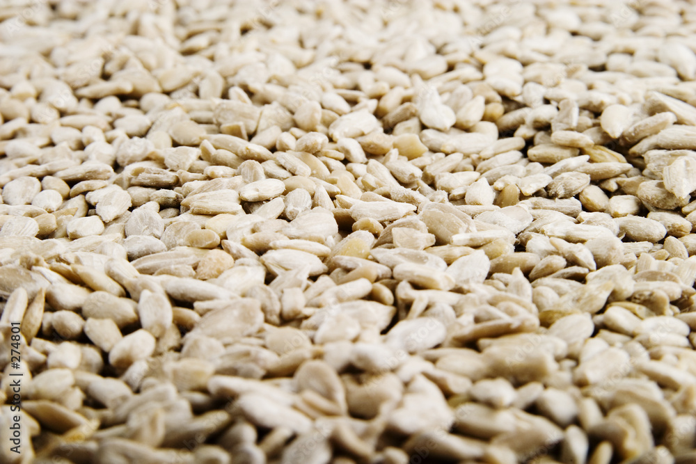 sunflower seeds background