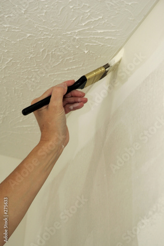 hand and paint brush