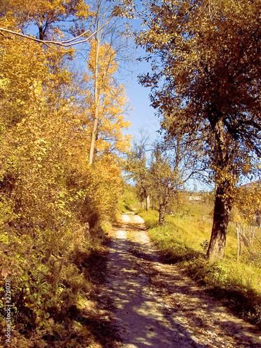 autumnal road