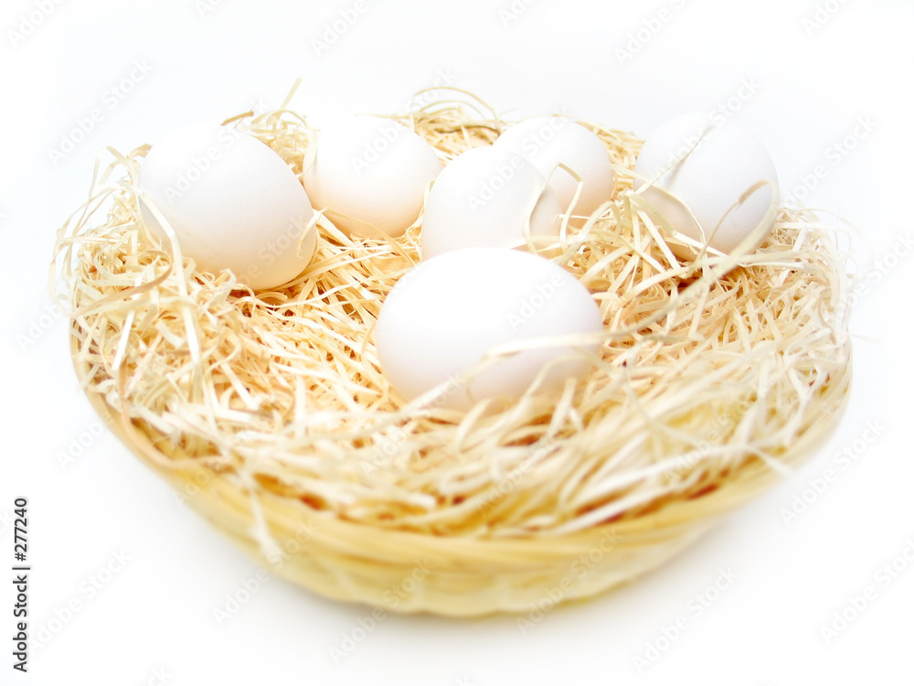 egg basket egg basket