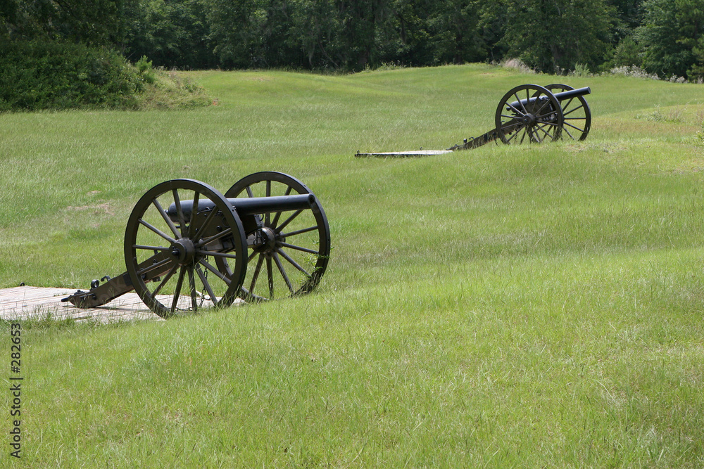 cannons in field