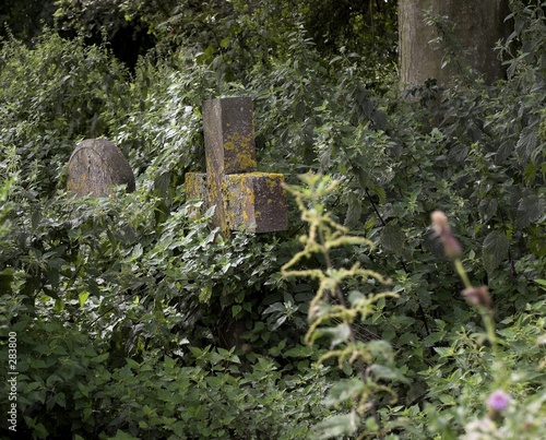 forgotten graves