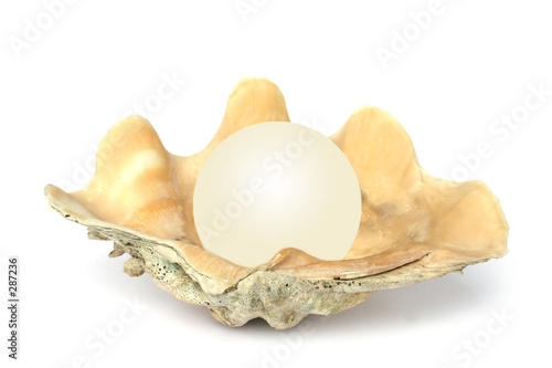 shell with orb