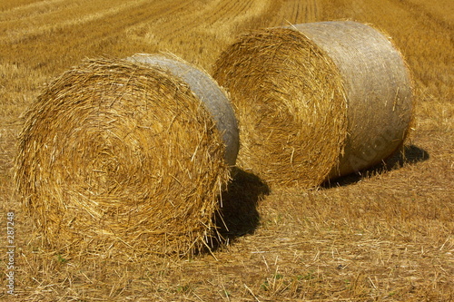 meules de pailles photo
