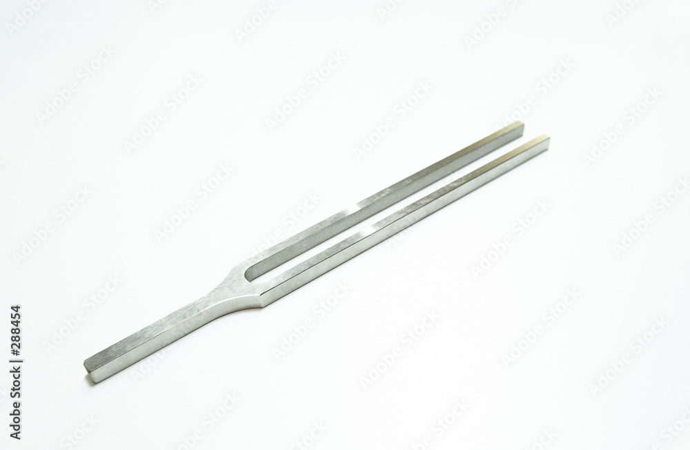 tuning fork tuning fork