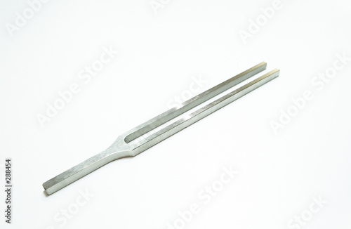 Bild auf Leinwand tuning fork