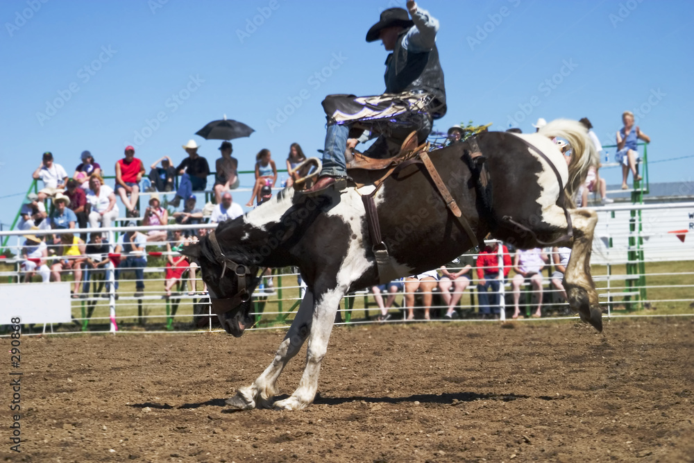 Fotografija saddle bronc