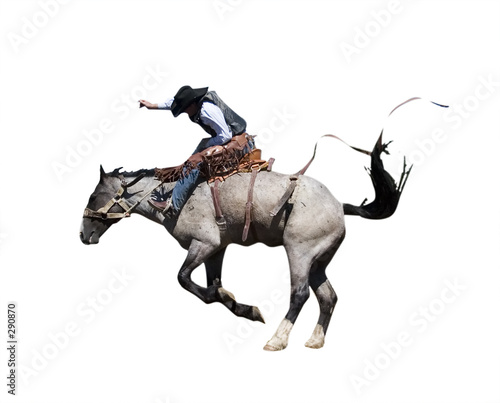 saddle bronc with clipping path