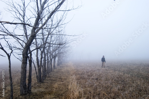 prairie fog
