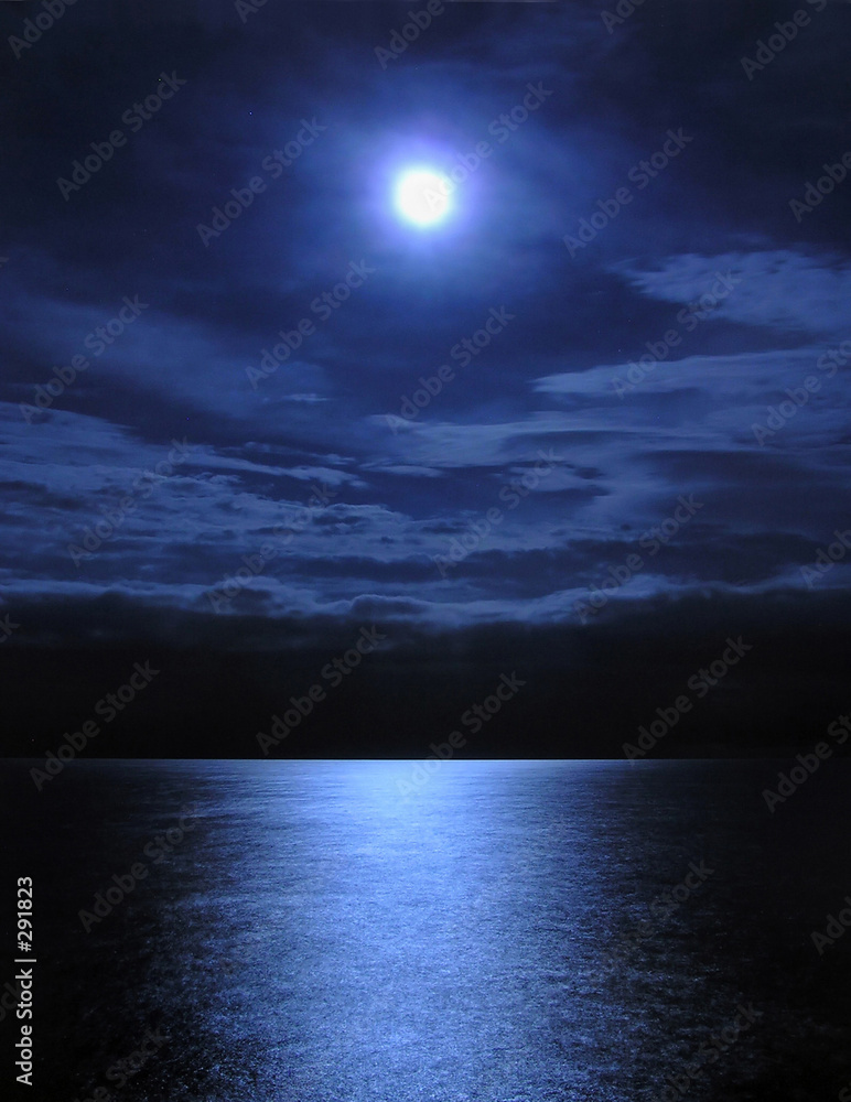 Obraz premium moonlight
