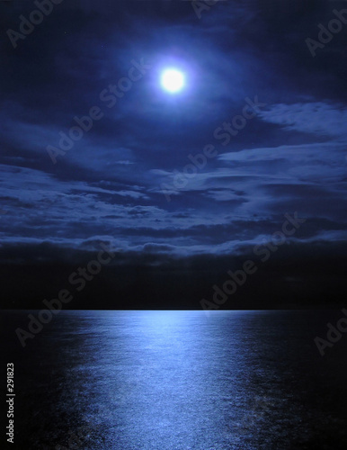 Obraz na plátně moonlight