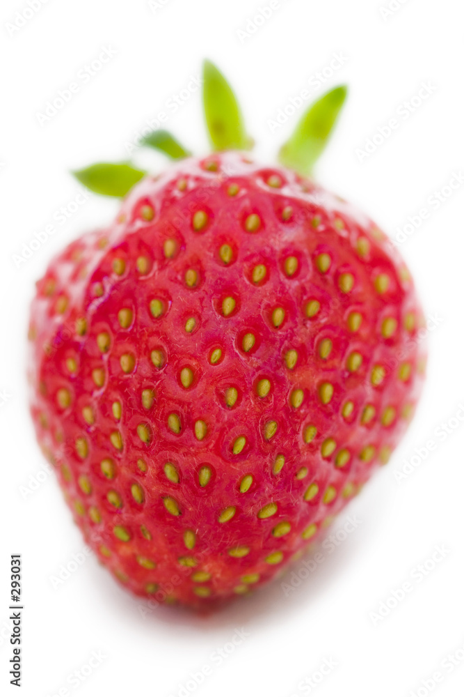 strawberry strawberry