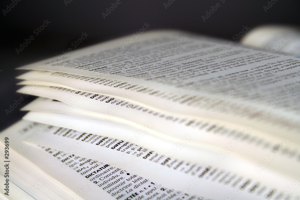 Fototapeta premium dictionnaire 5