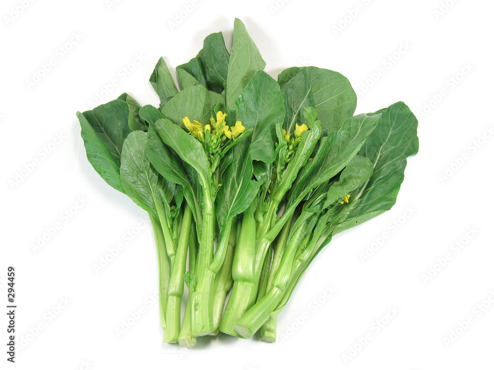 Wall Mural choy sum, a kind of chinese vegetable