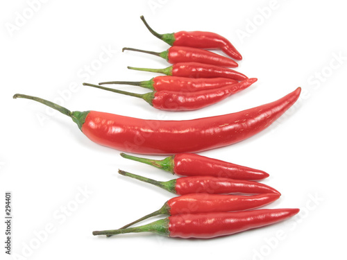 red chli pepper standout