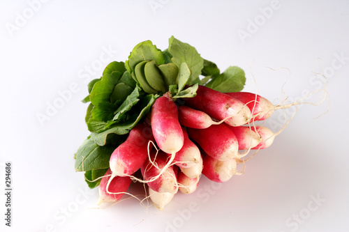 radish5494