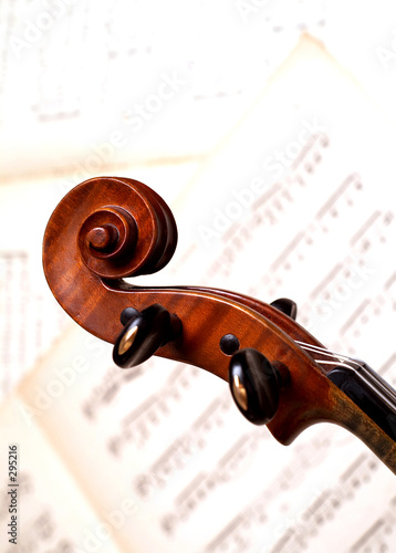 violin head