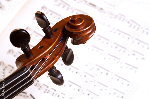 violin head