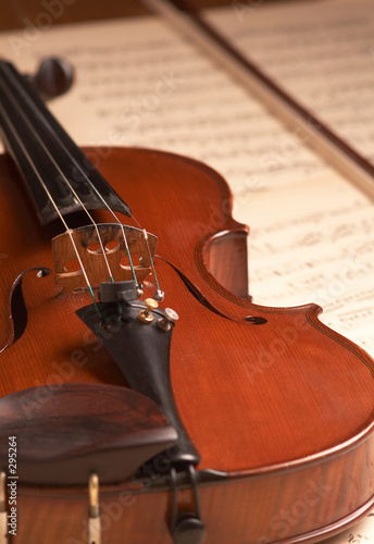 violin
