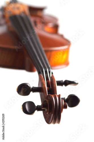 violine