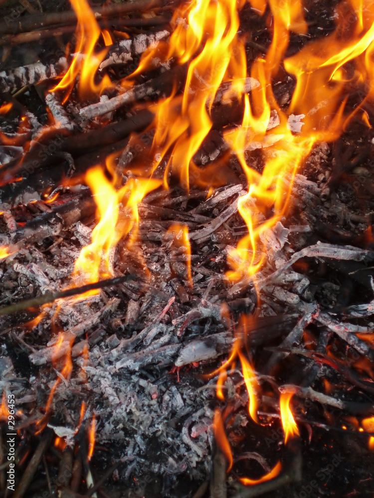 fire and flames fire and flames