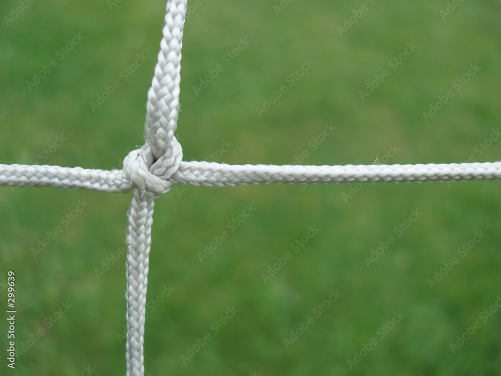 network network