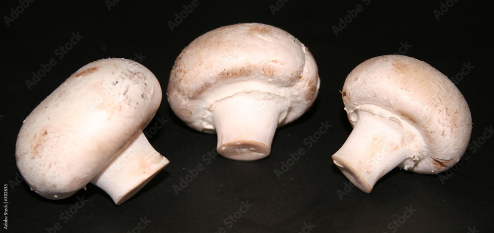 champignons champignons