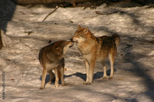 le baiser