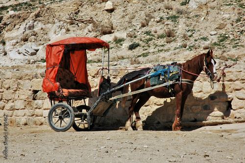 patiently waiting in petra