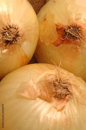vidalia onions 1 photo
