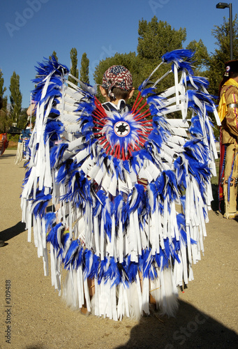 parade feathers 1