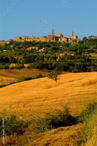 volterra