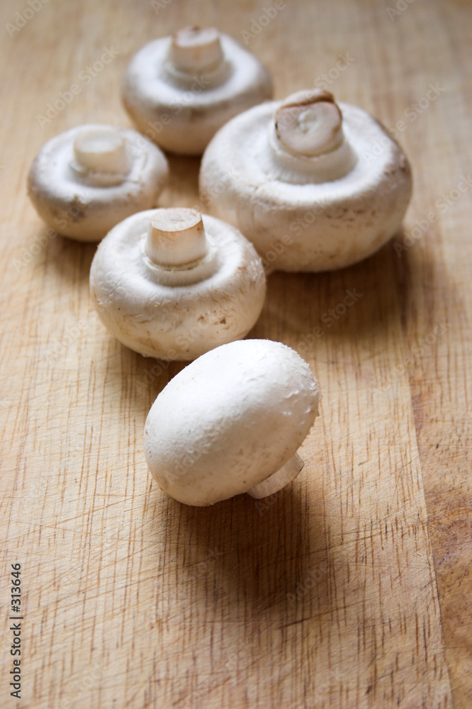 mushrooms mushrooms