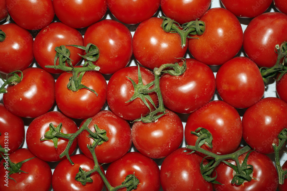 tomatoes2849