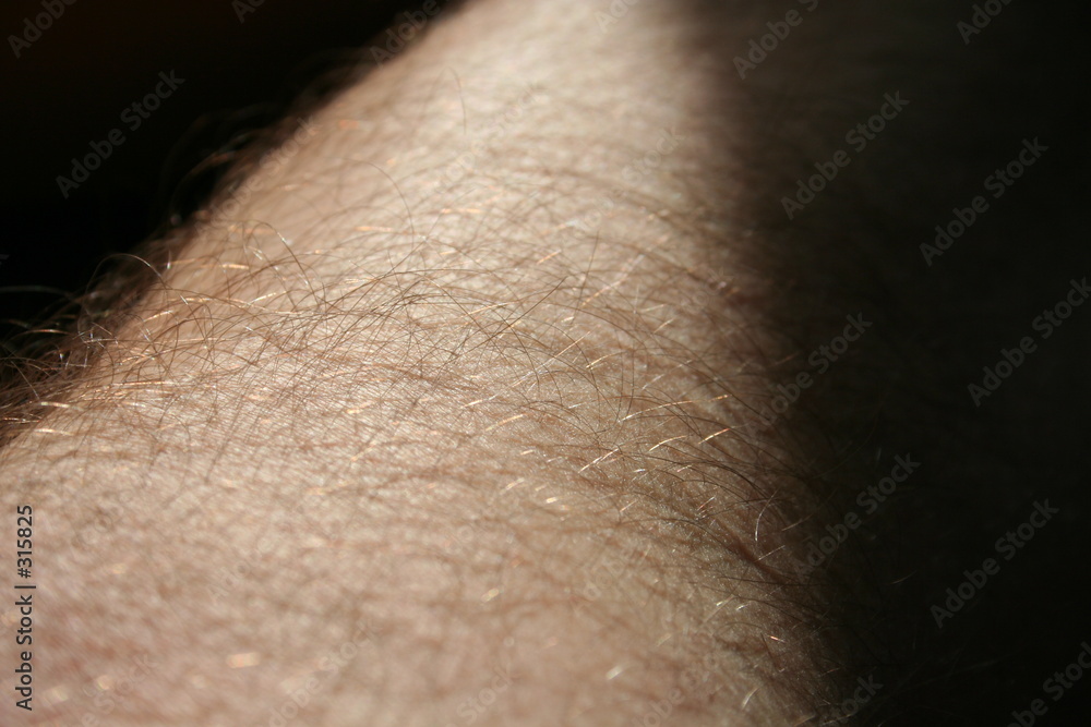 Fototapeta premium beinbehaarung