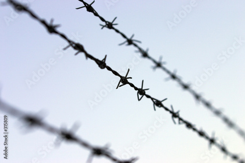Wallpaper Mural barbed wire fence