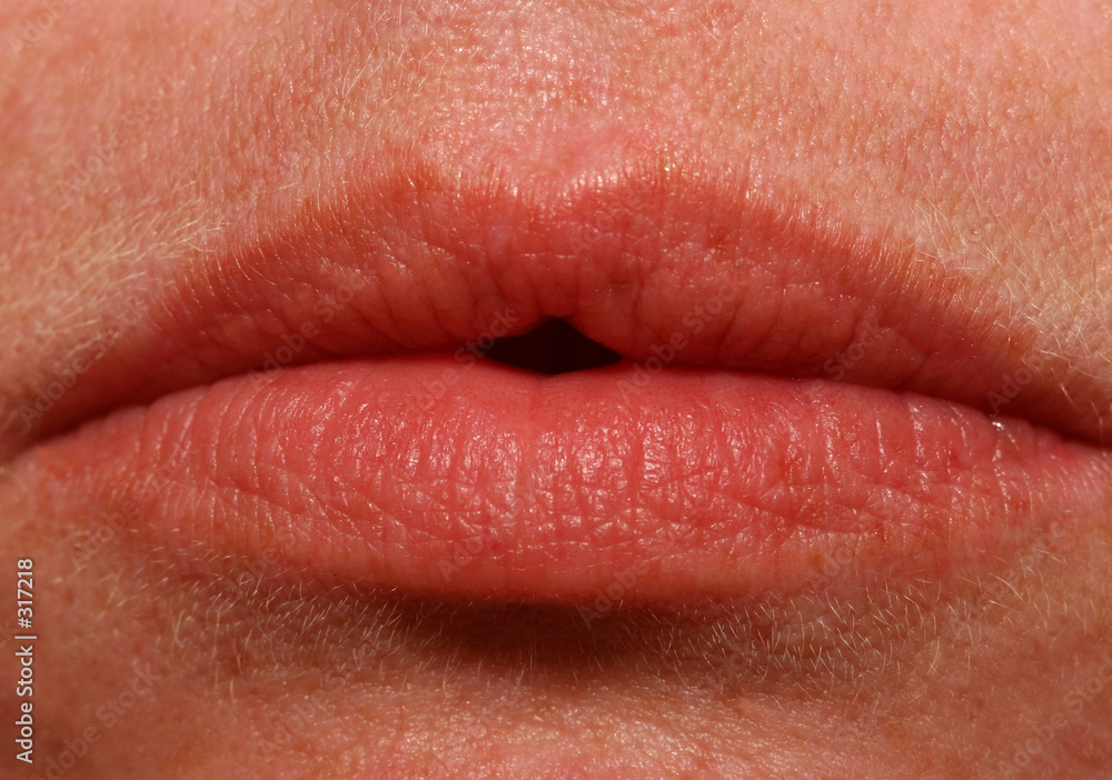 macro lips macro lips