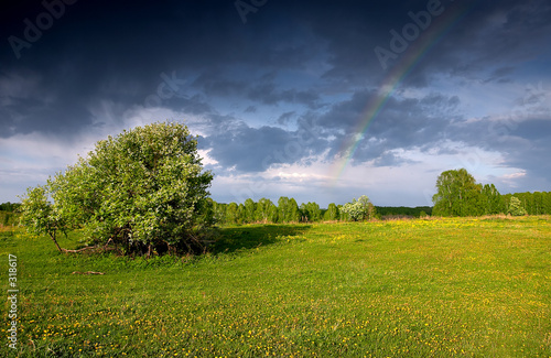 rainbow