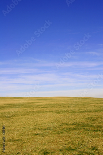 fields