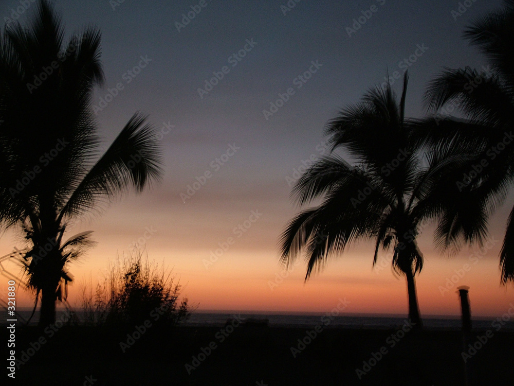 sun set mexique avec palmiers
