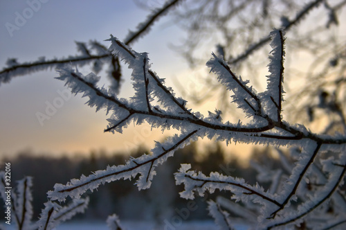 winter