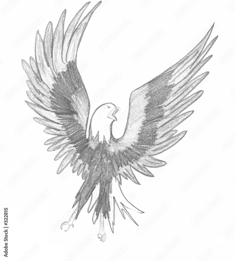 adler adler