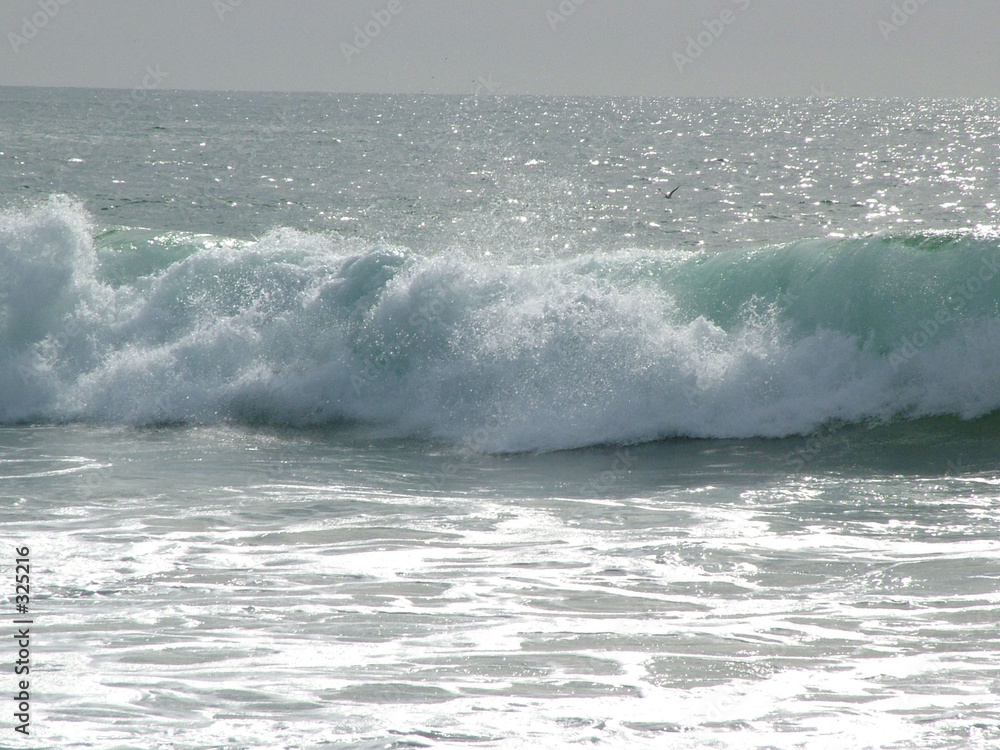 vague ocean pacifique vague ocean pacifique