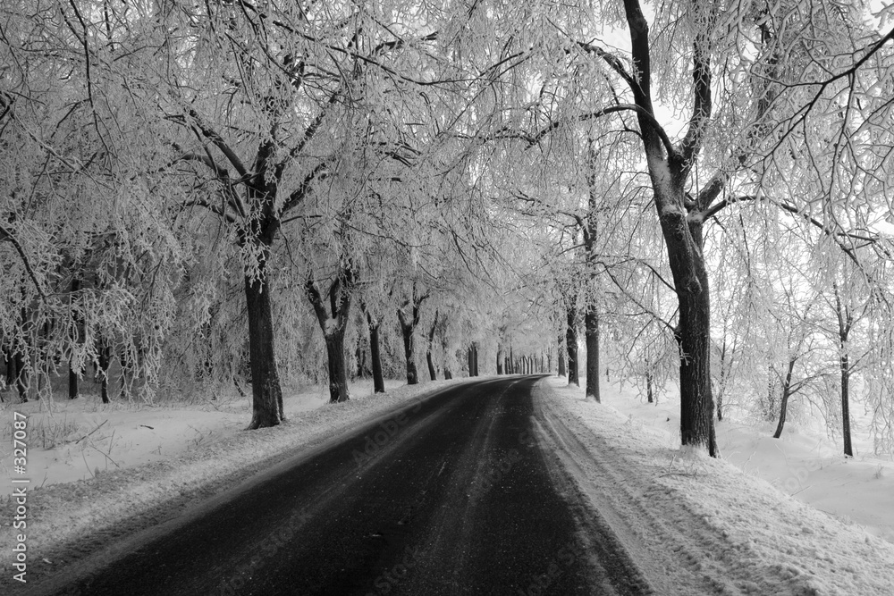black and white winter way