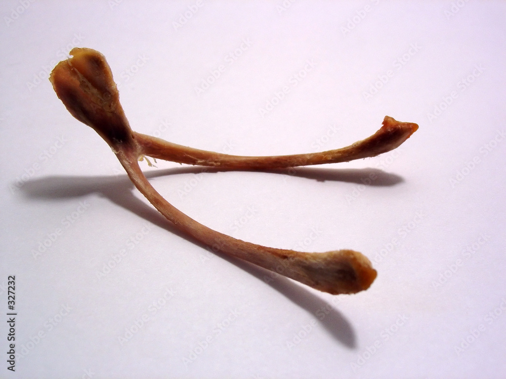 Fotografie wishbone