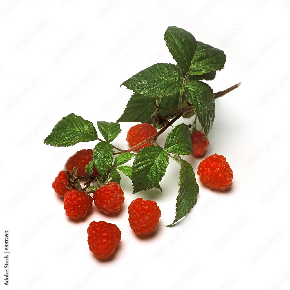 raspberries raspberries