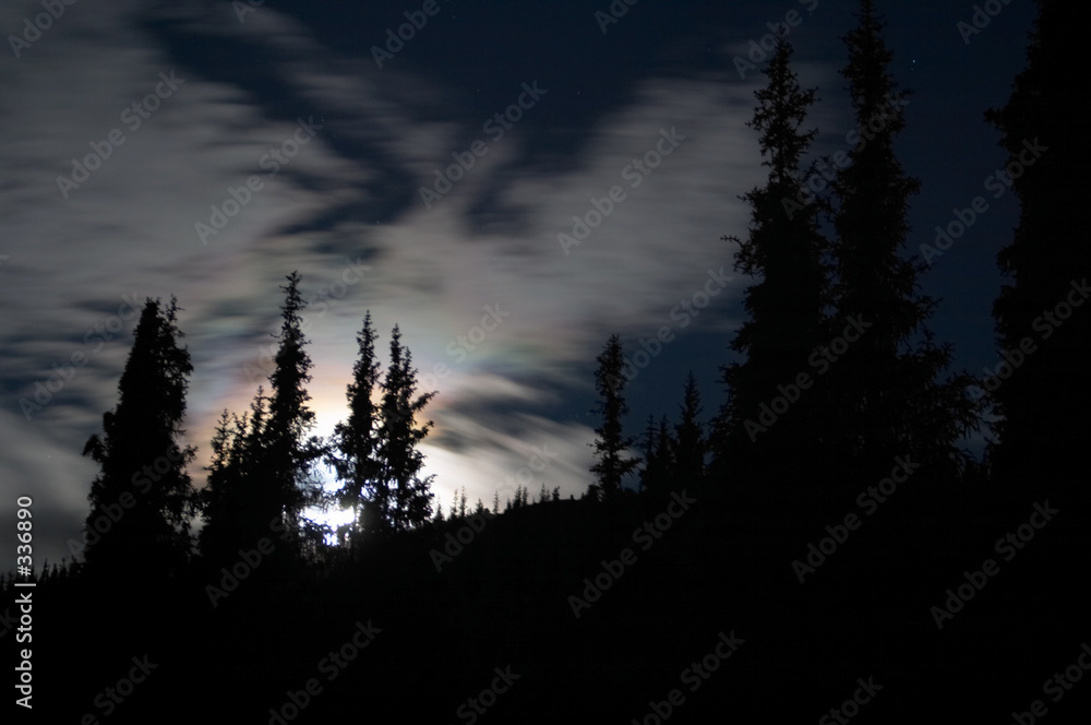 the moon over the forest, kyrgzstan the moon over the forest, kyrgzstan